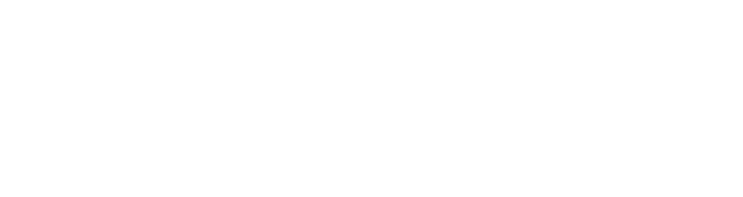 annual report 2020