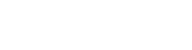 annual report 2020