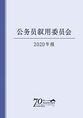 年报2020